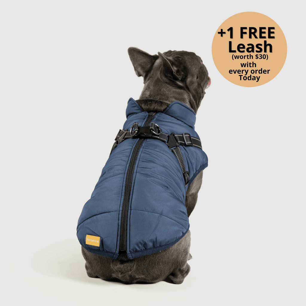 Dog winter jacket