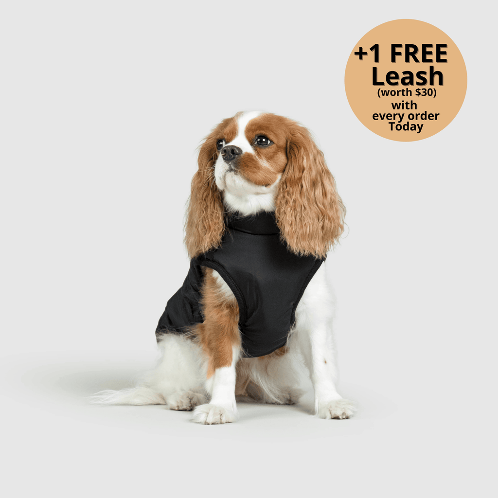 Dog winter jacket