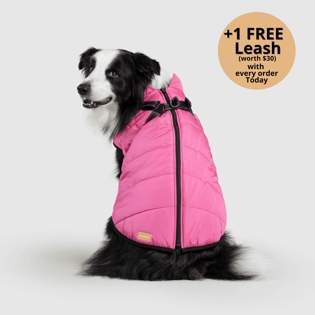 Dog winter jacket