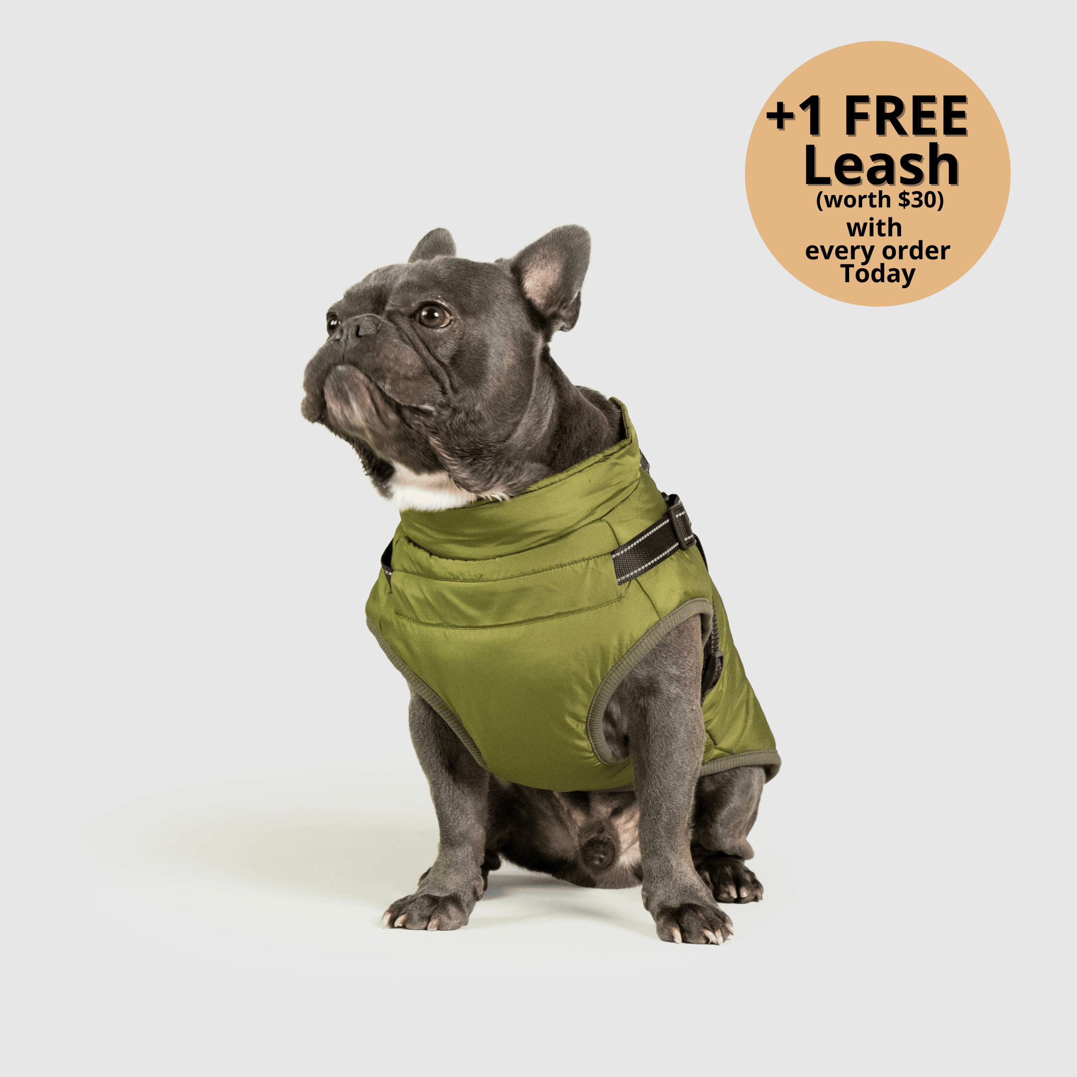 Dog winter jacket
