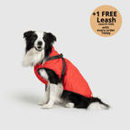 Dog winter jacket detail