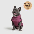 Dog winter jacket