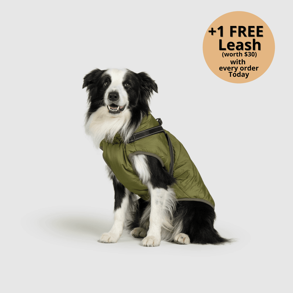 Dog winter jacket