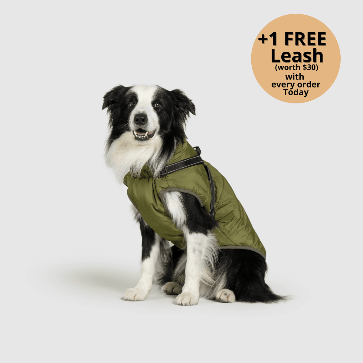 Dog winter jacket