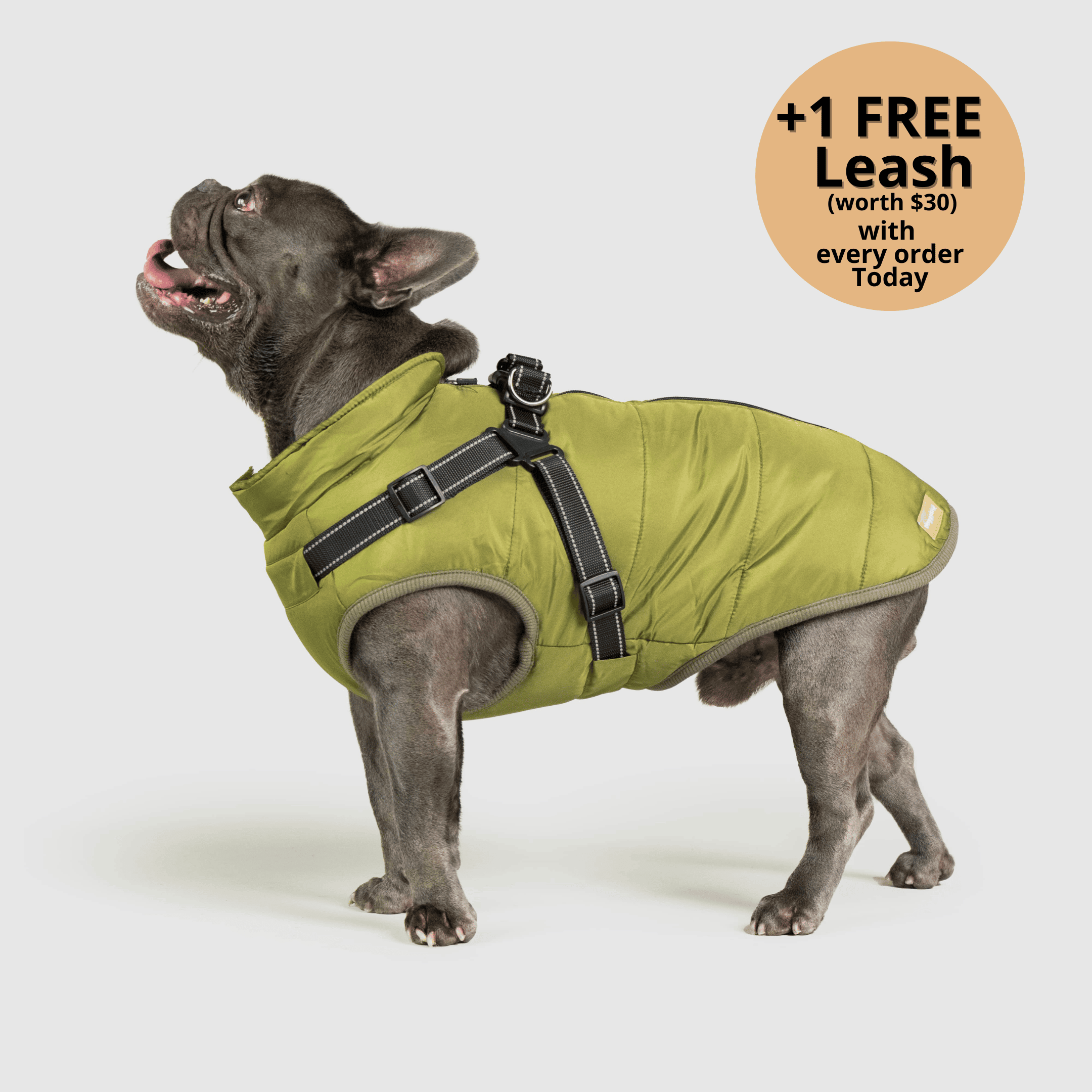 Dog winter jacket