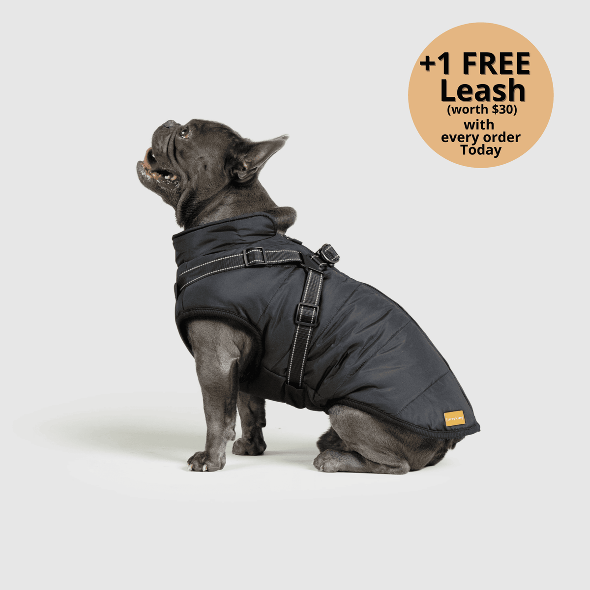 Dog winter jacket