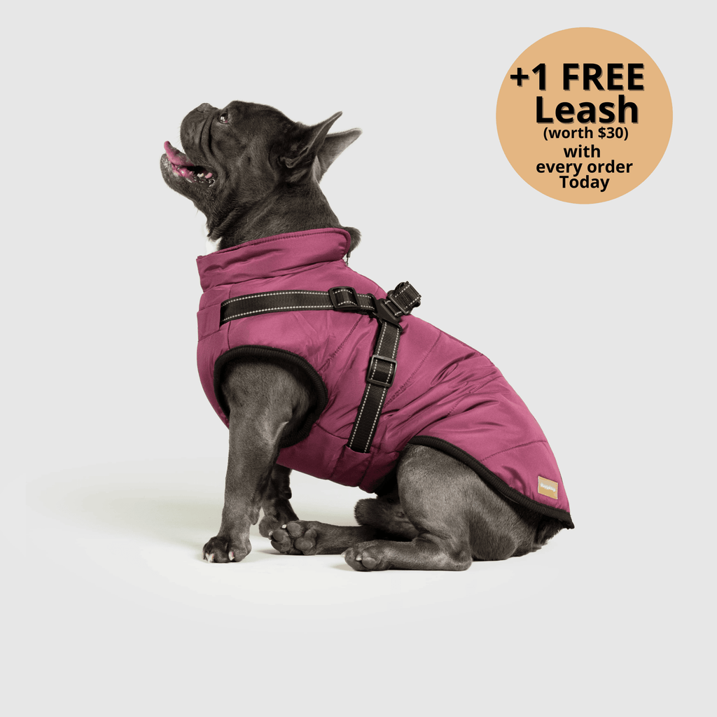 Dog winter jacket