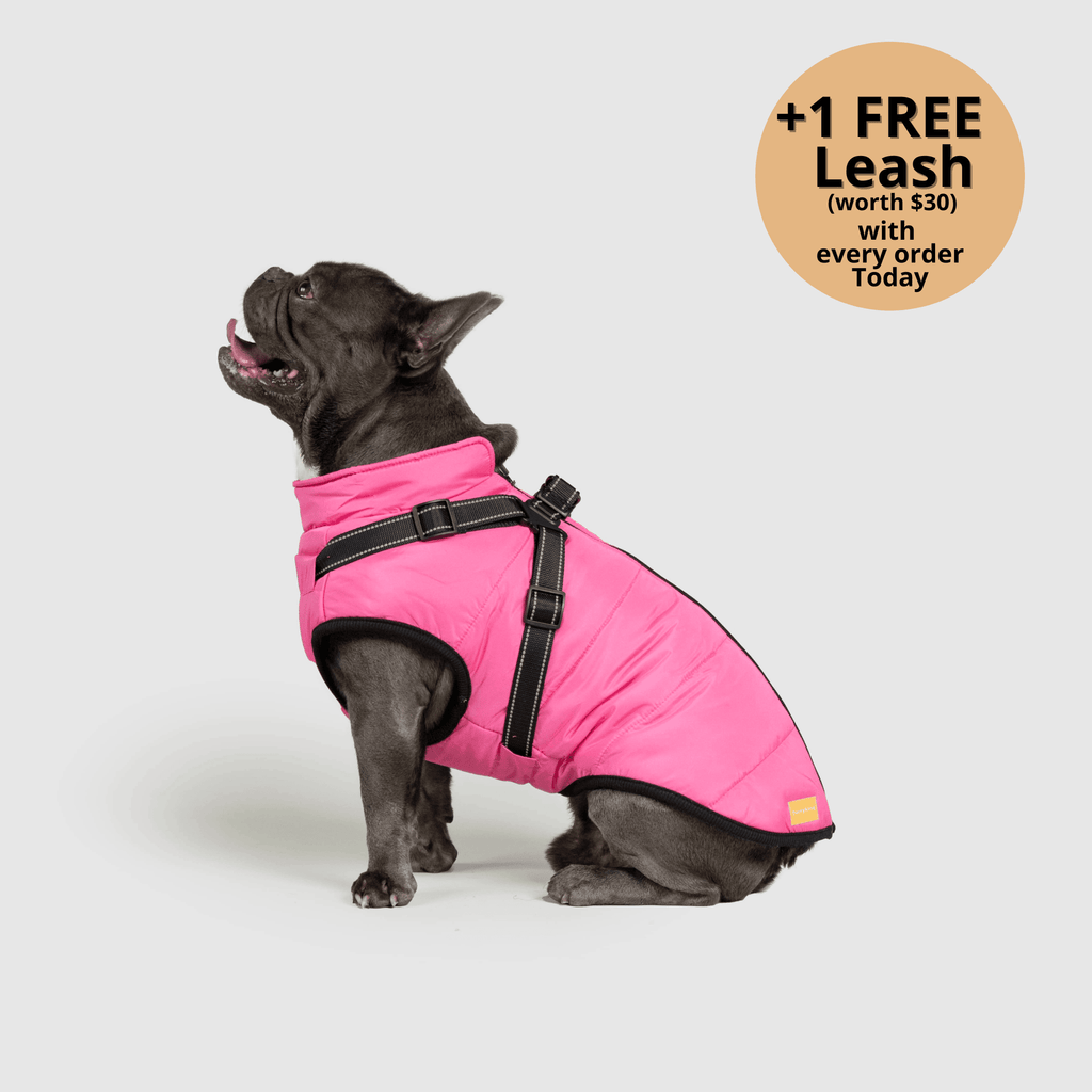 Dog winter jacket