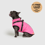 Dog winter jacket