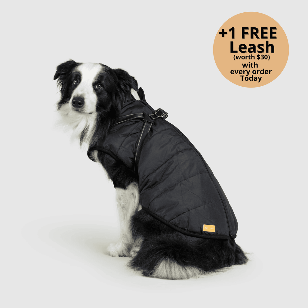 Dog winter jacket