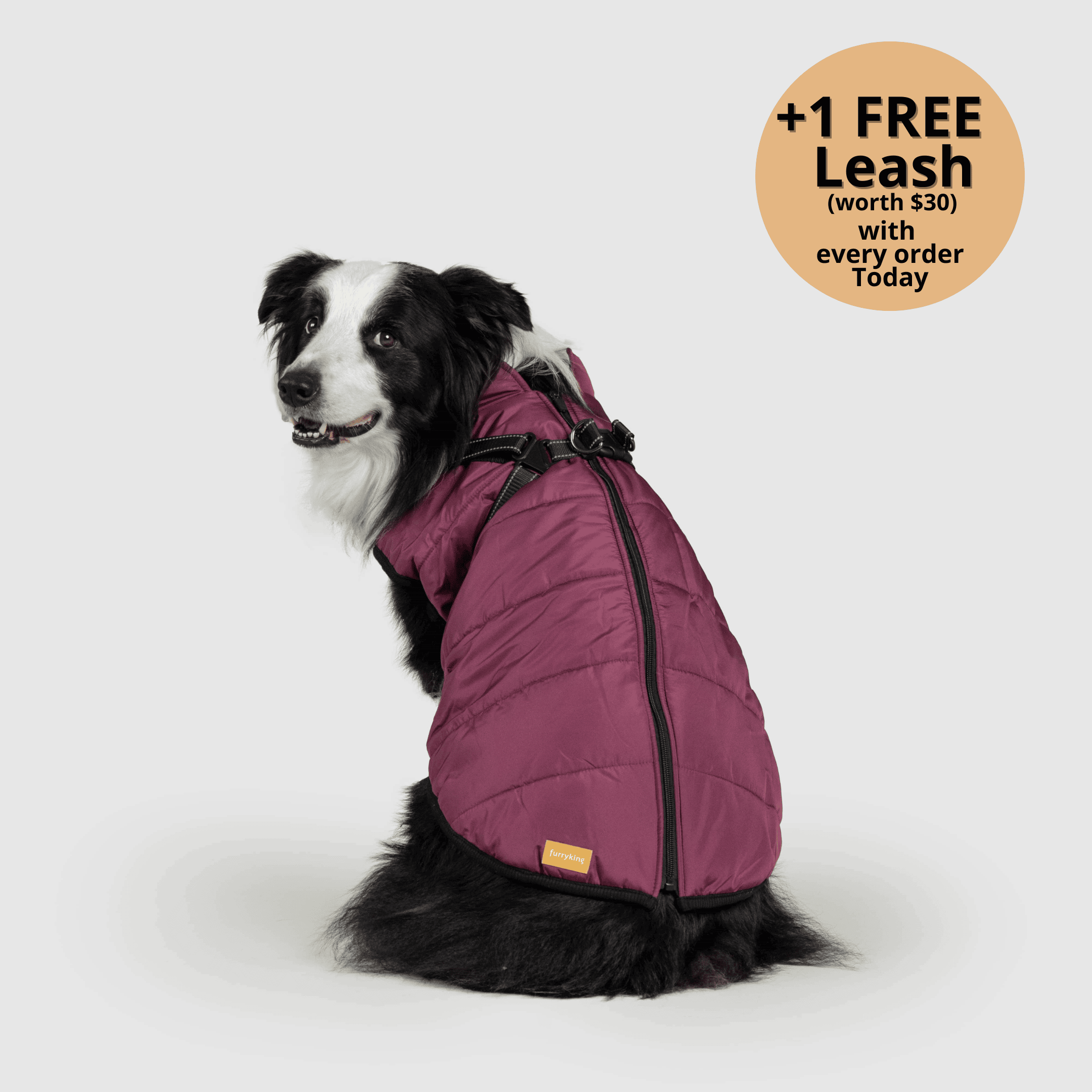 Dog winter jacket