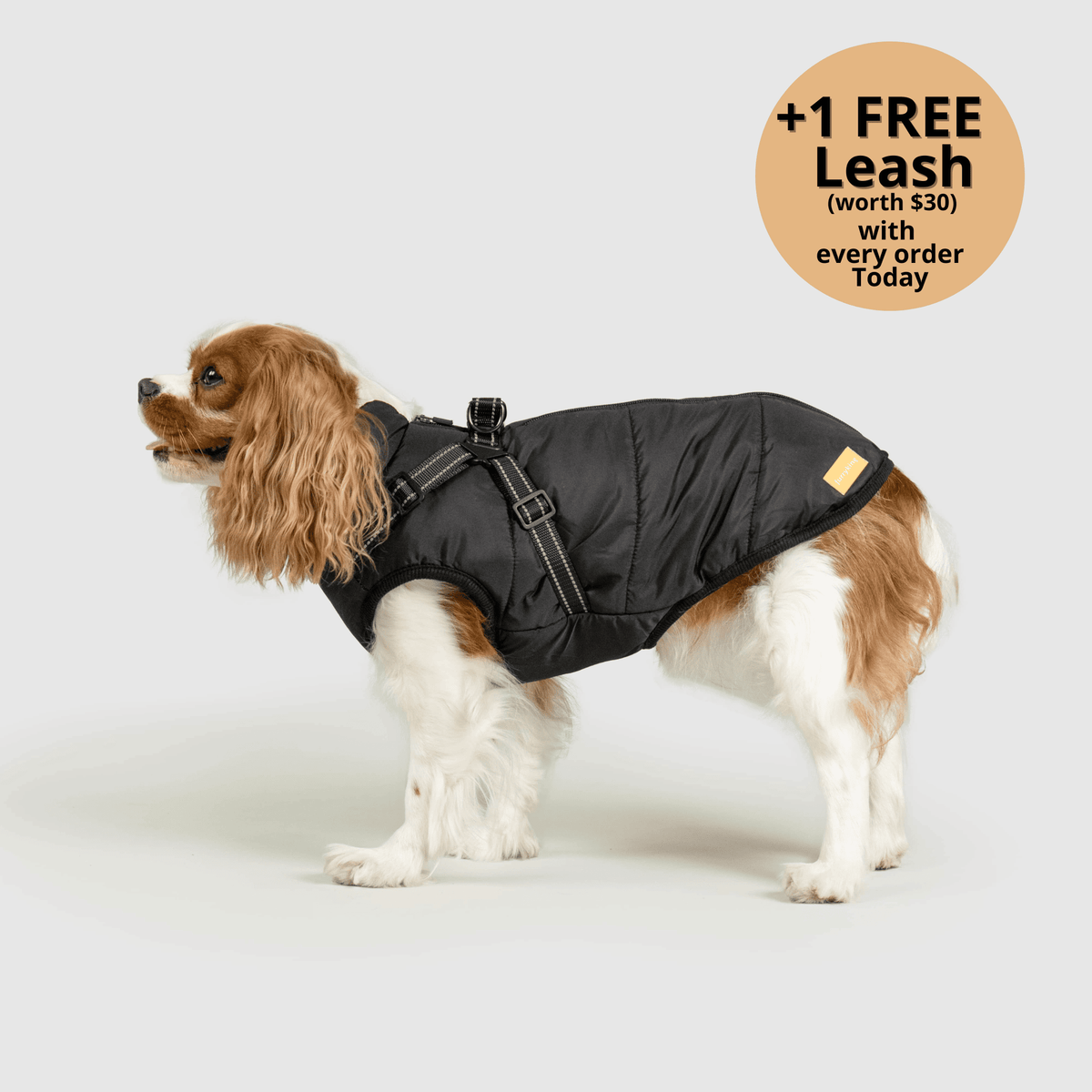 My Furry King Winter Jacket - Black