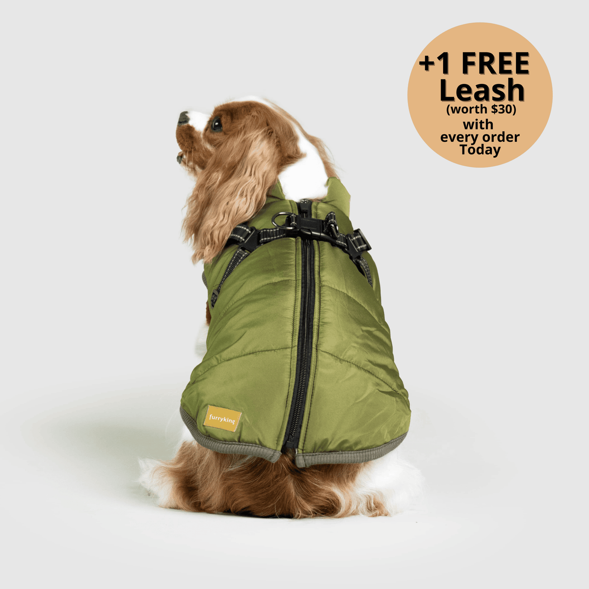 My Furry King Winter Jacket - Green