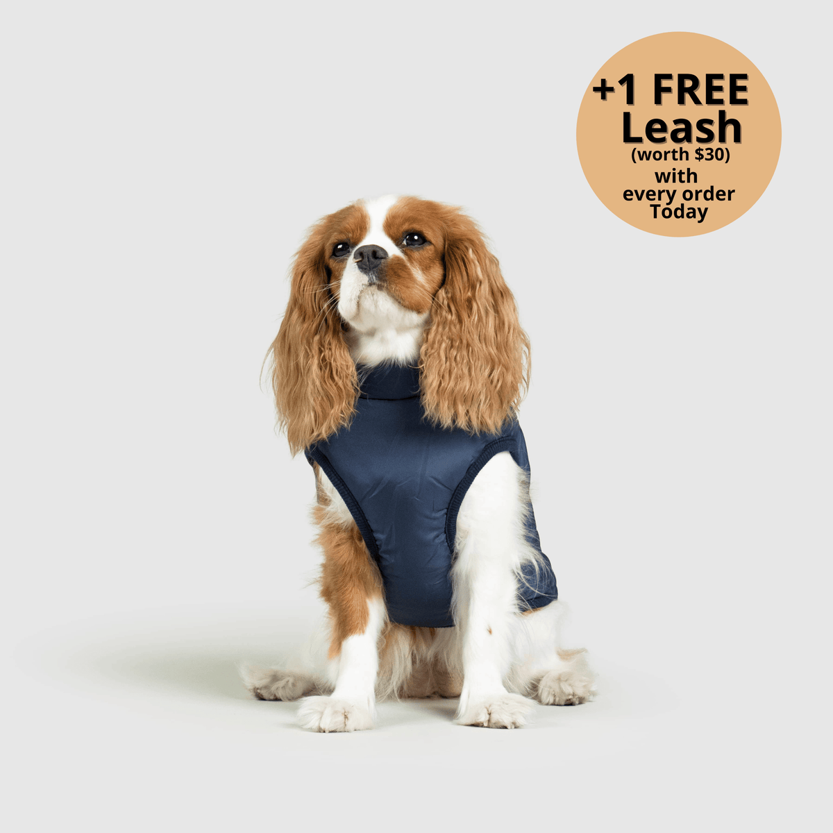 My Furry King Winter Jacket - Navy Blue