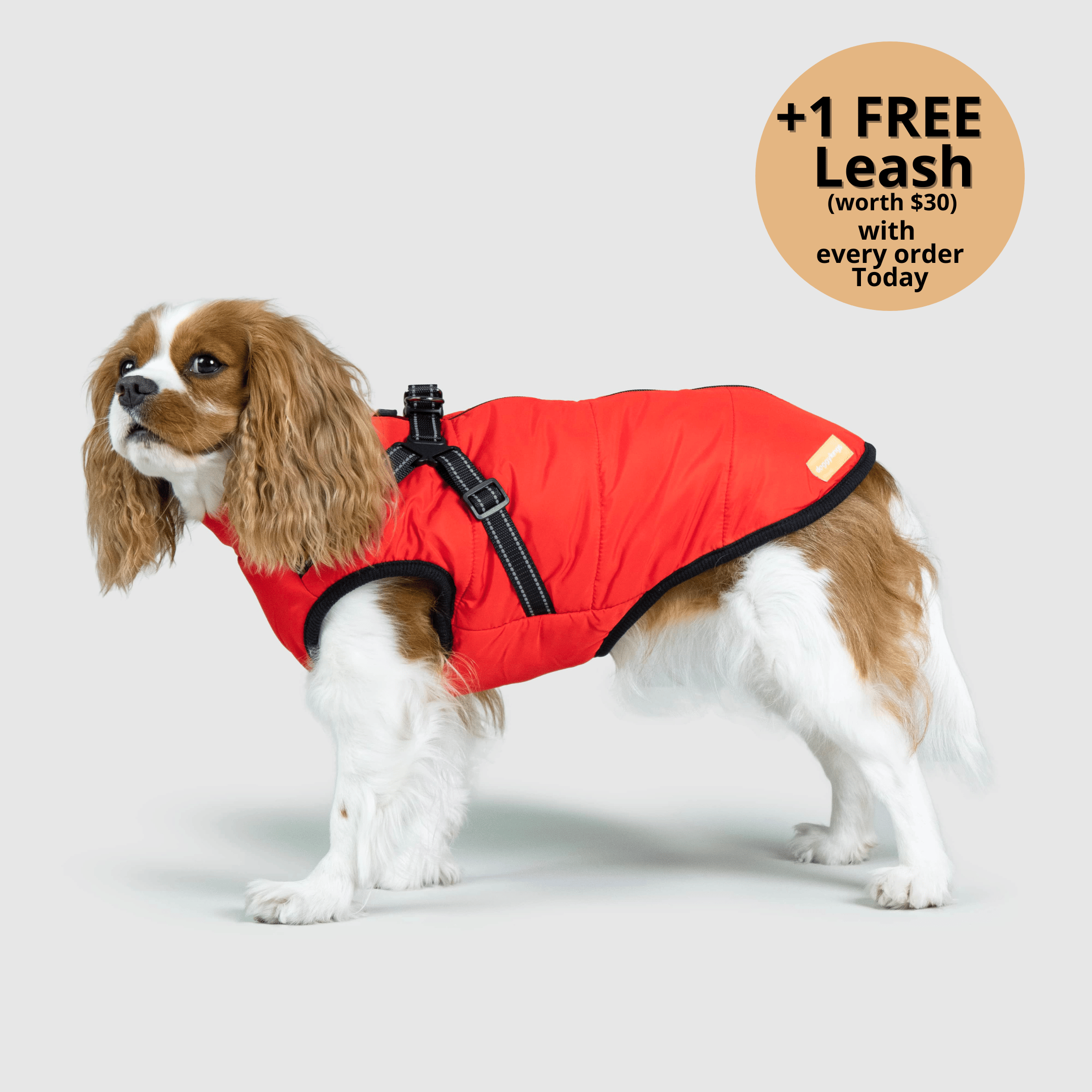 My Furry King Winter Jacket - Red